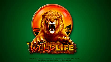 wild life slot online